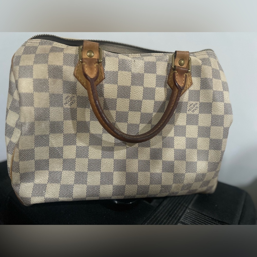 Louis Vuitton Speedy 30 Purse